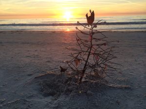 beach Christmas tree